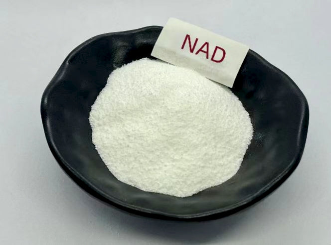 Fournisseur d'icotinamide adénine dinucléotide de haute qualité, NAD 99 % pur