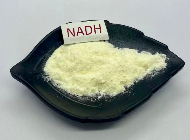 Premium NADH Nicotinamide Adenine Dinucleotide Powder NADH 98% supplier