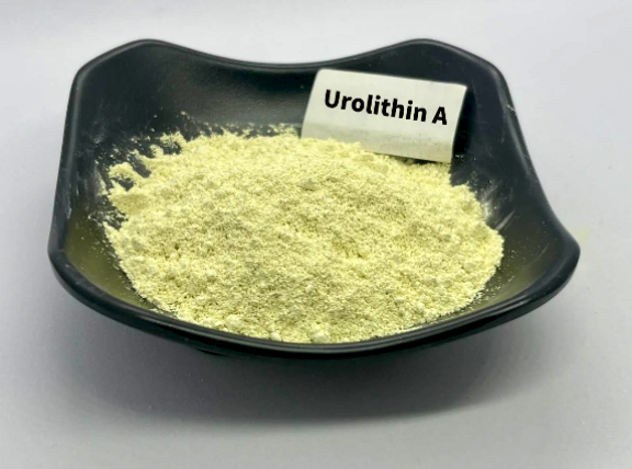 Health Supplement Ingredients Urolithin-A Powder 98 supplier